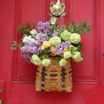 may day activities