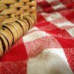 picnic picnic items