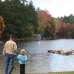fall fall
