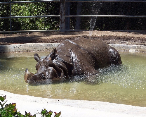 stayingcool cooling off in the summer