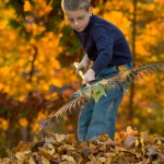 Raking Leaves