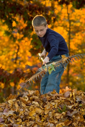 Raking Leaves Raking Leaves