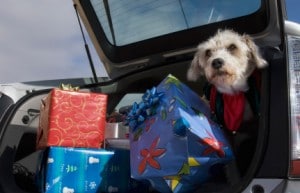holiday travel