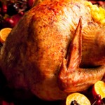 Thanksgiving Turkey Thanksgiving Turkey