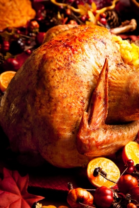Thanksgiving Turkey Thanksgiving Turkey