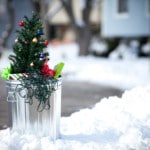 Christmas Waste Christmas Waste
