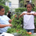 Children volunteering