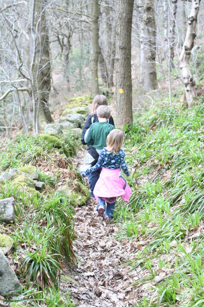a family hike a family hike
