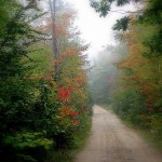autumn in Maine autumn in Maine