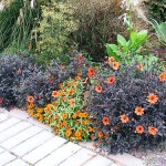 xeriscape garden xeriscape garden